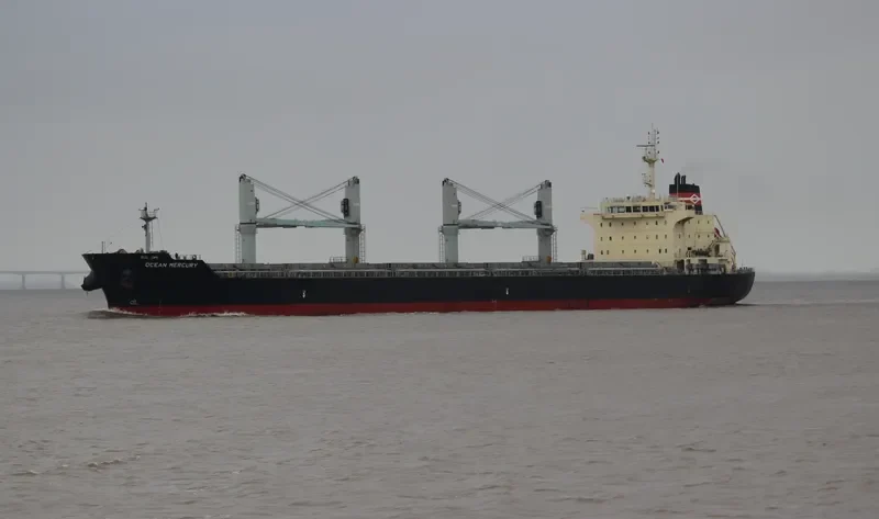 OCEAN MERCURY Bulk Carrier IMO 9616735 photo 6