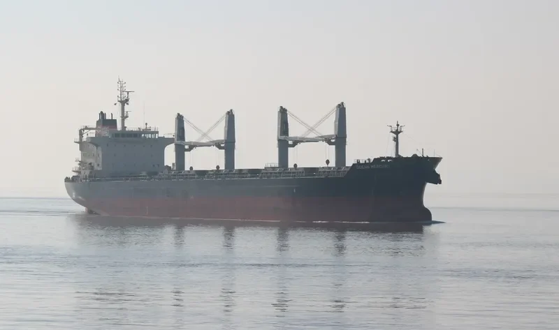 OCEAN MERCURY Bulk Carrier IMO 9616735 photo 9