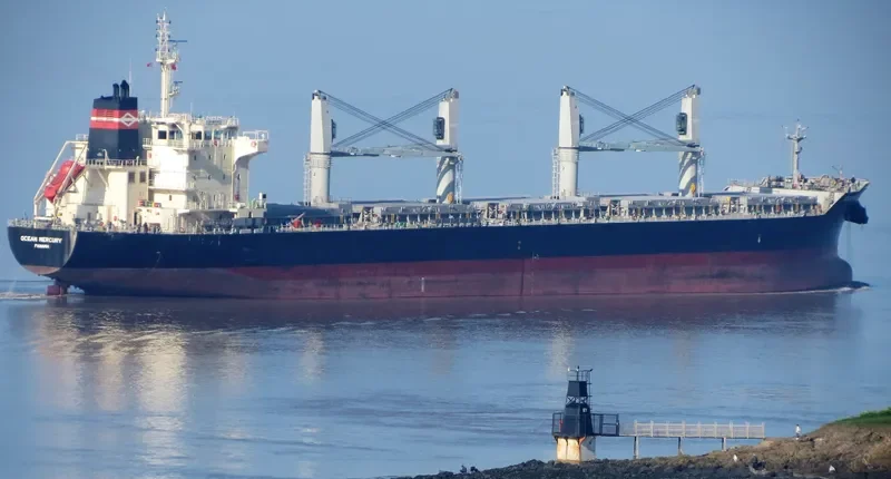 OCEAN MERCURY Bulk Carrier IMO 9616735 photo 10