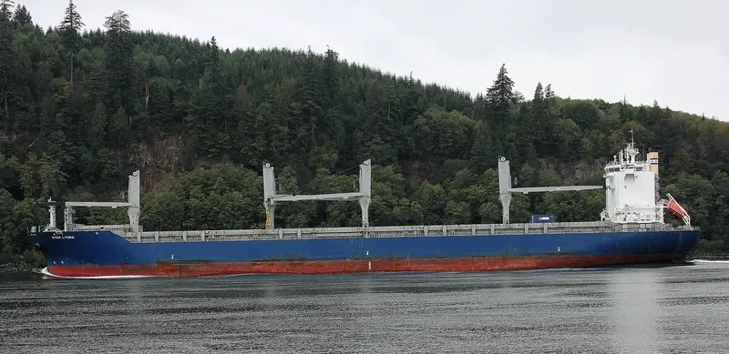 STAR LYGRA General Cargo IMO 9616838 photo 3
