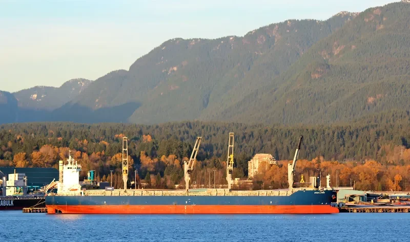 STAR LYGRA General Cargo IMO 9616838 photo 10
