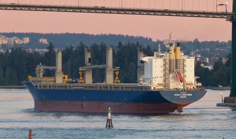 STAR LYSEFJORD General Cargo IMO 9616840 photo 8