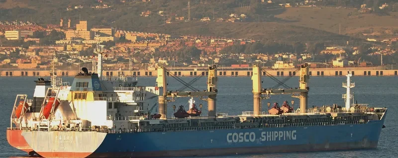 ZHONG HAI CHANG YUN 6 Bulk Carrier IMO 9617179