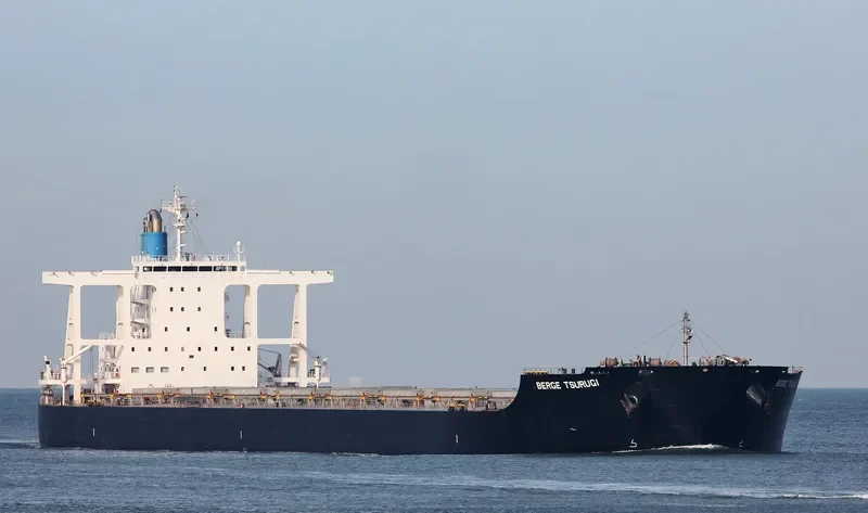 ZHONG HAI CHANG YUN 6 Bulk Carrier IMO 9617179 photo 4
