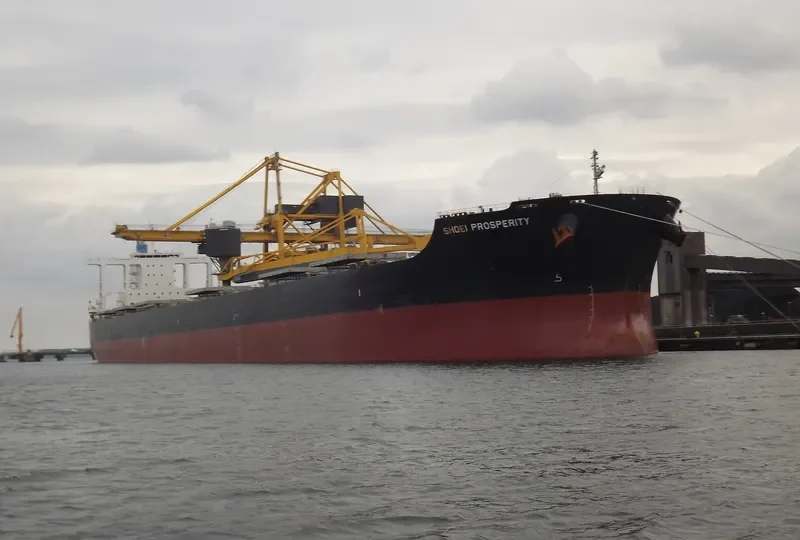 ZHONG HAI CHANG YUN 6 Bulk Carrier IMO 9617179 photo 7