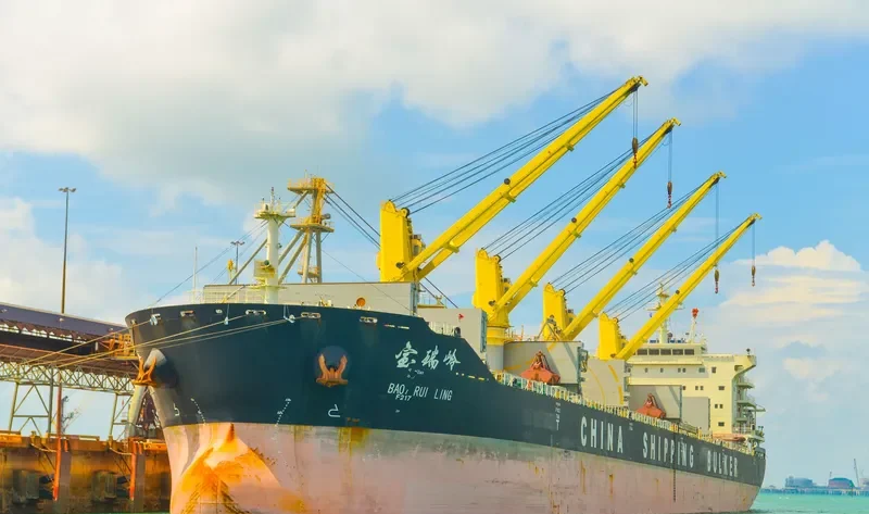 BAO RUI LING Bulk Carrier IMO 9617258 photo 2