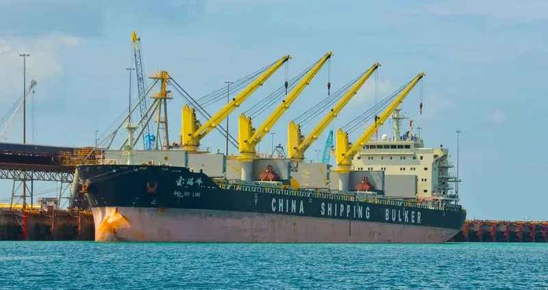 BAO RUI LING Bulk Carrier IMO 9617258 photo 3