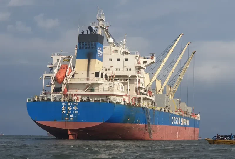 BAO RUI LING Bulk Carrier IMO 9617258 photo 4