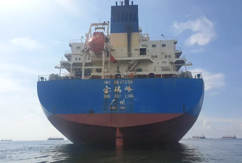 BAO RUI LING Bulk Carrier IMO 9617258 photo 5