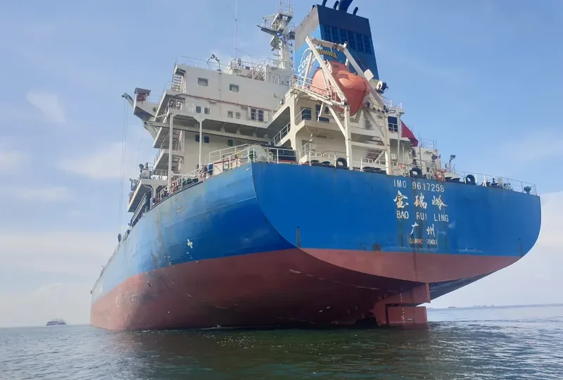 BAO RUI LING Bulk Carrier IMO 9617258 photo 6