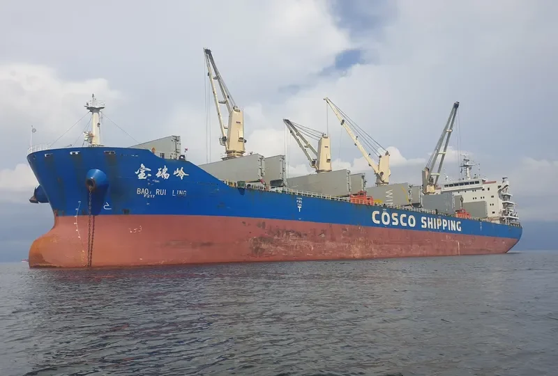 BAO RUI LING Bulk Carrier IMO 9617258 photo 7