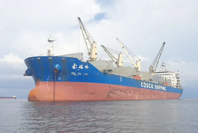 BAO RUI LING Bulk Carrier IMO 9617258 photo 8