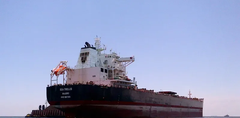 CAPTAIN V.MADIAS Bulk Carrier IMO 9617351 photo 3