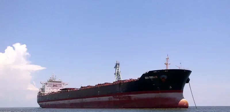 CAPTAIN V.MADIAS Bulk Carrier IMO 9617351 photo 4