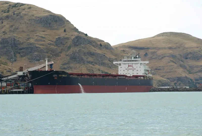CAPTAIN V.MADIAS Bulk Carrier IMO 9617351 photo 9