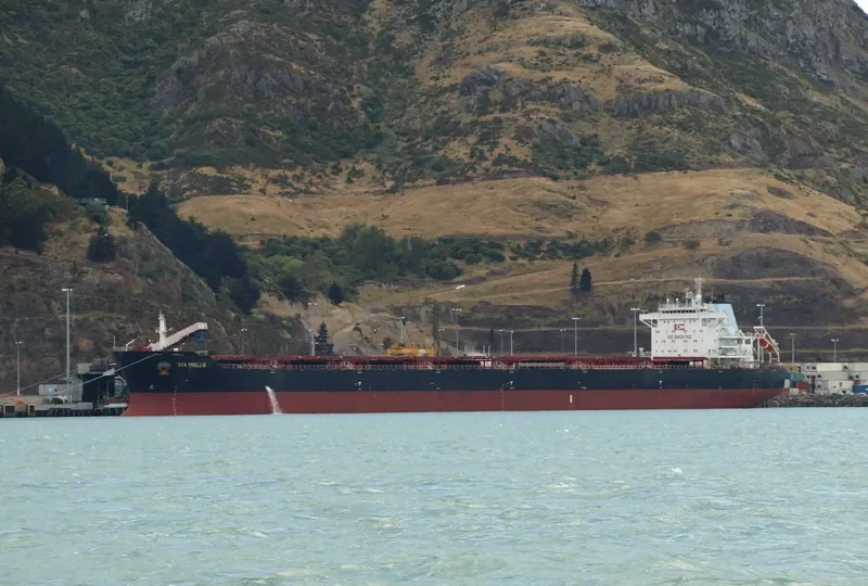 CAPTAIN V.MADIAS Bulk Carrier IMO 9617351 photo 10
