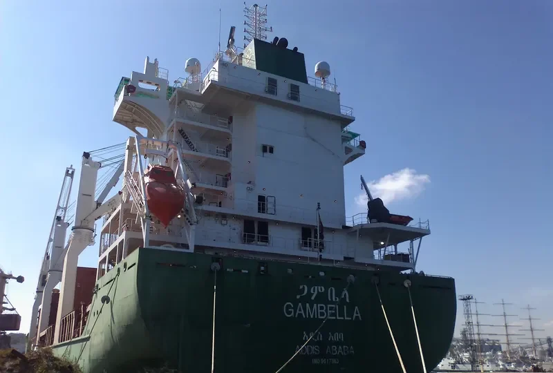 GAMBELLA General Cargo IMO 9617363 photo 7