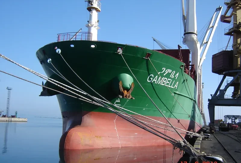 GAMBELLA General Cargo IMO 9617363 photo 8