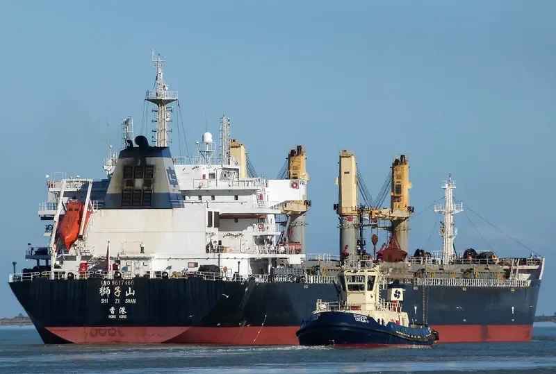 SHI ZI FENG Bulk Carrier IMO 9617466