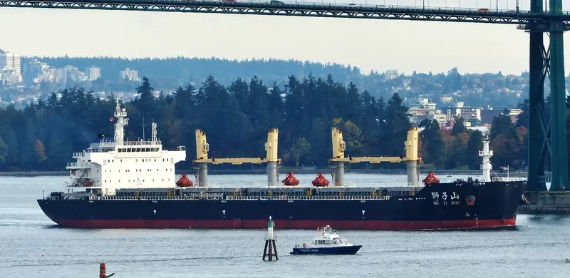 SHI ZI FENG Bulk Carrier IMO 9617466 photo 5
