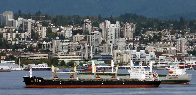 SHI ZI FENG Bulk Carrier IMO 9617466 photo 6