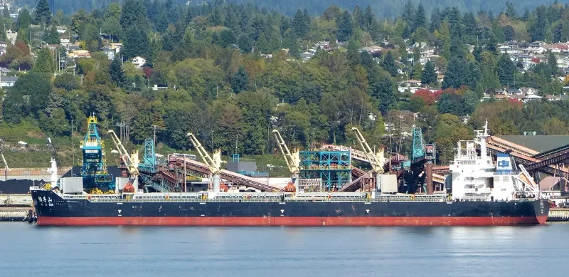 SHI ZI FENG Bulk Carrier IMO 9617466 photo 7