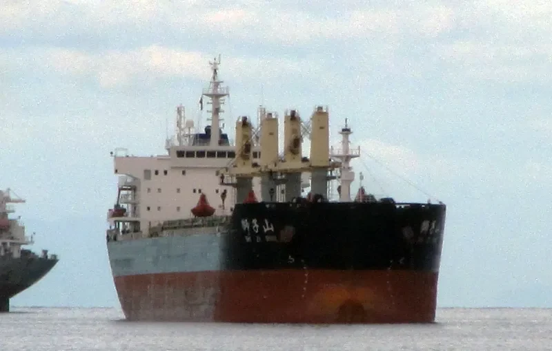 SHI ZI FENG Bulk Carrier IMO 9617466 photo 8