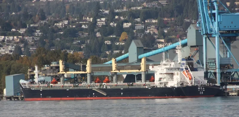 SHI ZI FENG Bulk Carrier IMO 9617466 photo 9
