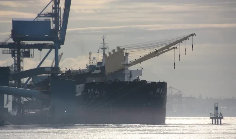 SHI ZI FENG Bulk Carrier IMO 9617466 photo 10