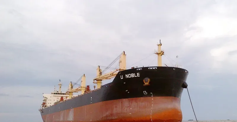EASTERN CAMELLIA Bulk Carrier IMO 9617480