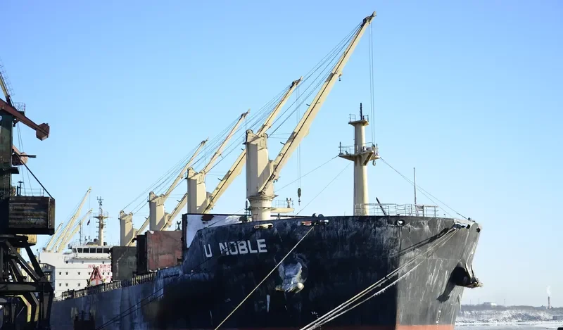 EASTERN CAMELLIA Bulk Carrier IMO 9617480 photo 3