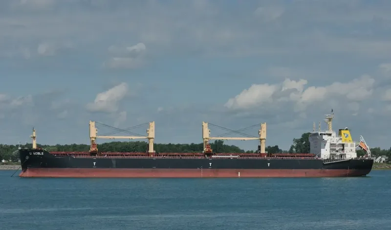 EASTERN CAMELLIA Bulk Carrier IMO 9617480 photo 4