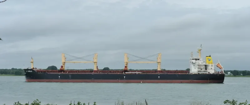 EASTERN CAMELLIA Bulk Carrier IMO 9617480 photo 5