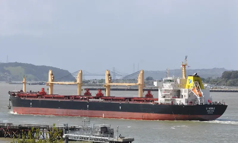 EASTERN CAMELLIA Bulk Carrier IMO 9617480 photo 6