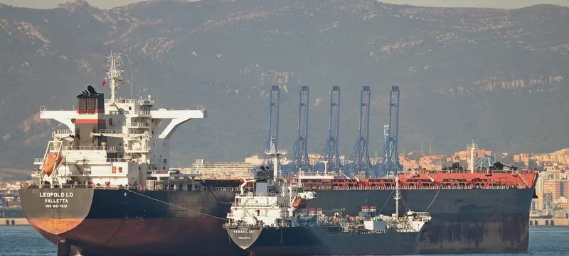 LEOPOLD LD Bulk Carrier IMO 9617519