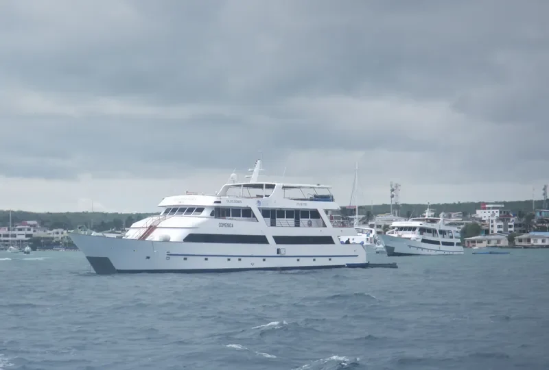 DOMENICA Passenger Ship IMO 9617583