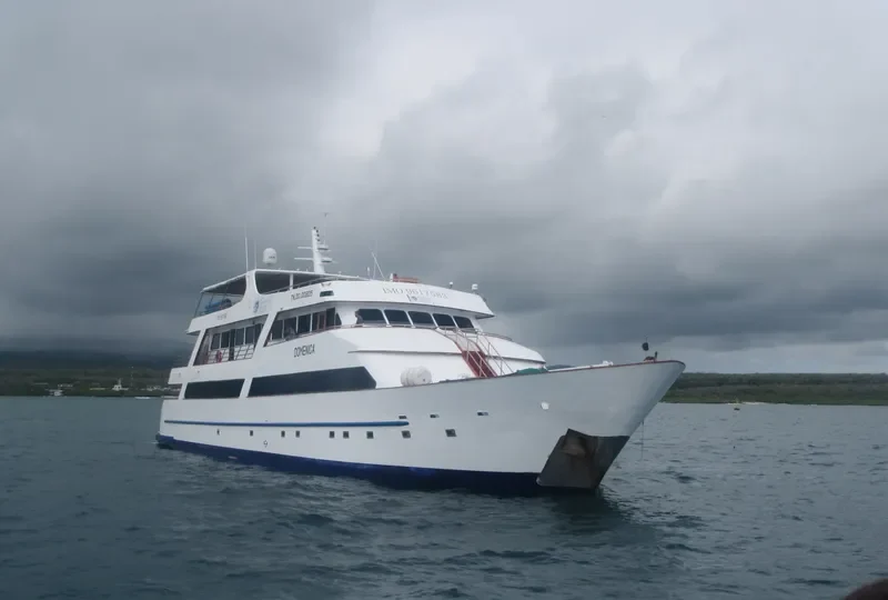 DOMENICA Passenger Ship IMO 9617583 photo 2