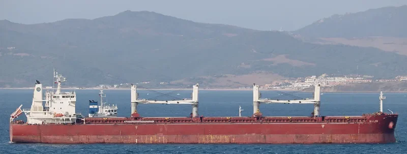 HAI JIN Bulk Carrier IMO 9617674