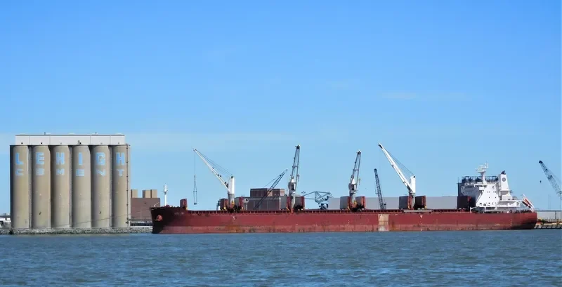 HAI JIN Bulk Carrier IMO 9617674 photo 3