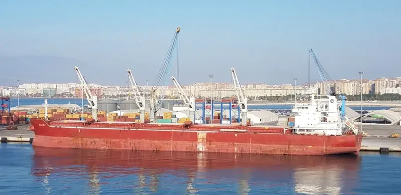 HAI JIN Bulk Carrier IMO 9617674 photo 5