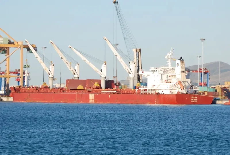 HAI JIN Bulk Carrier IMO 9617674 photo 6