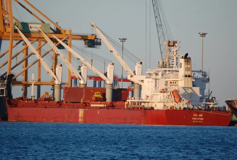 HAI JIN Bulk Carrier IMO 9617674 photo 7