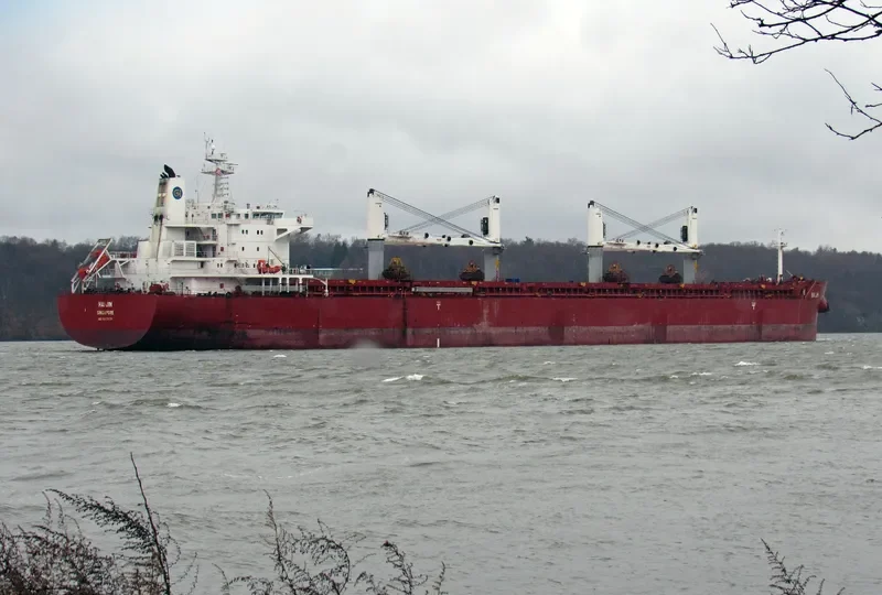 HAI JIN Bulk Carrier IMO 9617674 photo 8