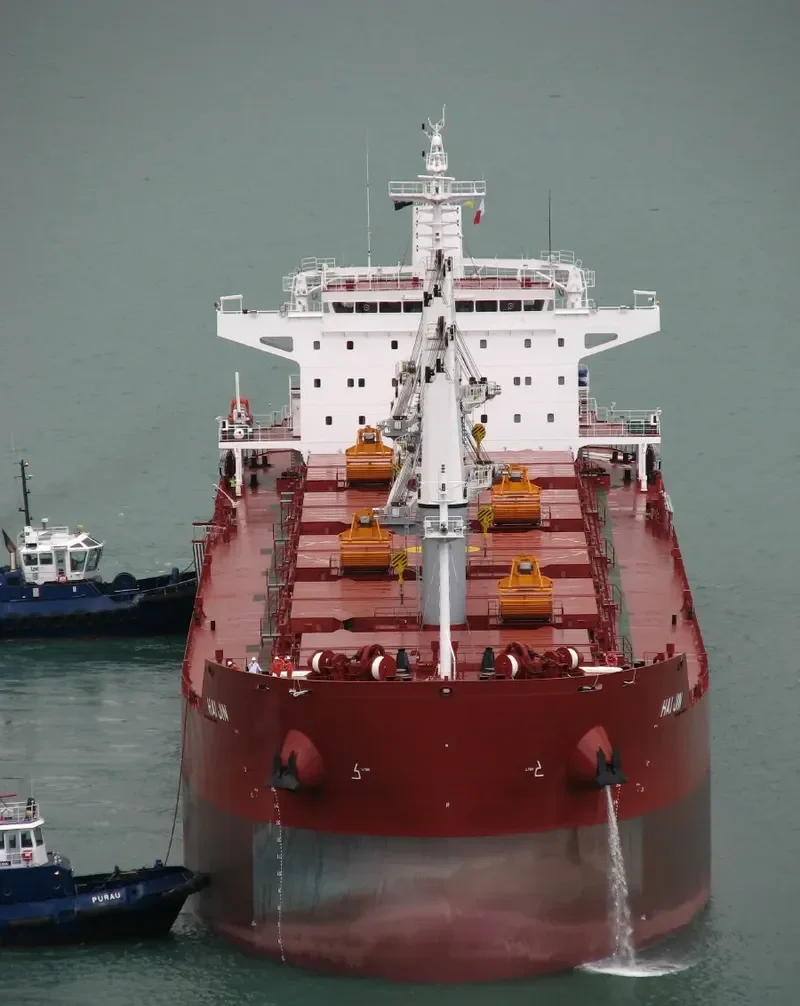 HAI JIN Bulk Carrier IMO 9617674 photo 10