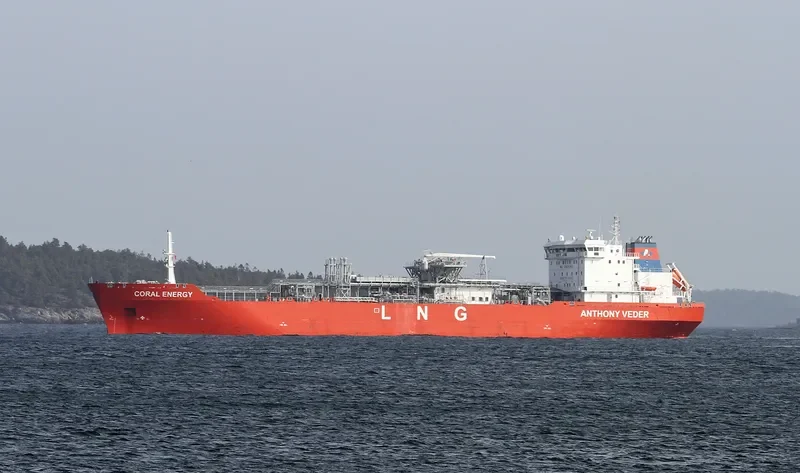 CORAL ENERGY General Cargo IMO 9617698 photo 9