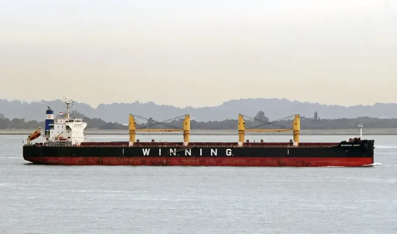 PMS STEINBOCK Bulk Carrier IMO 9617739