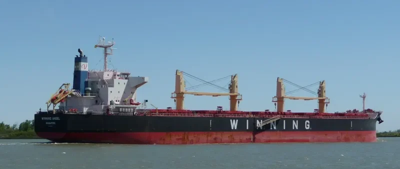 PMS STEINBOCK Bulk Carrier IMO 9617739 photo 2