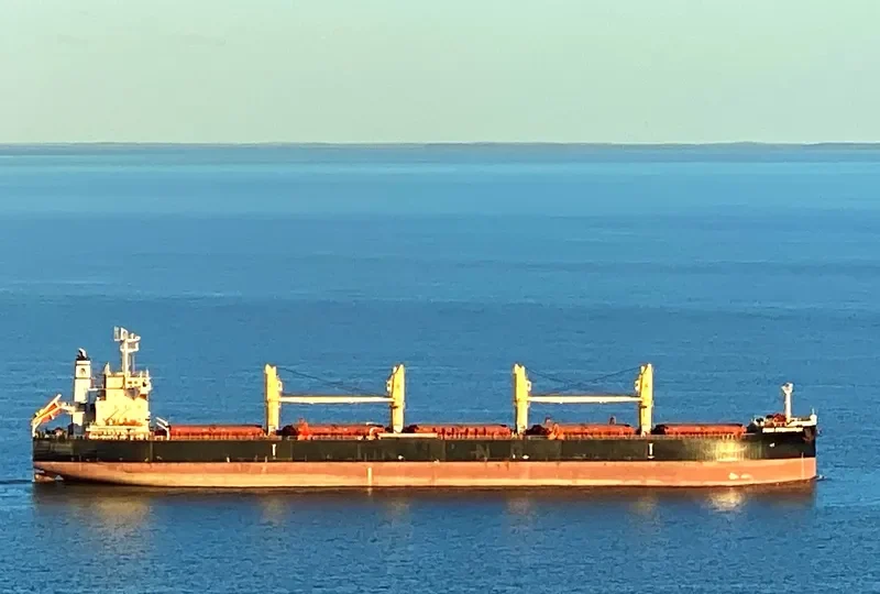 PMS STEINBOCK Bulk Carrier IMO 9617739 photo 3