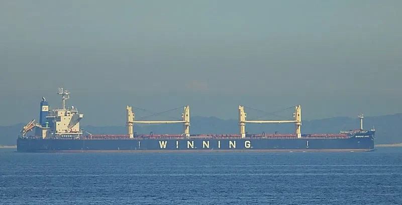 PMS STEINBOCK Bulk Carrier IMO 9617739 photo 4