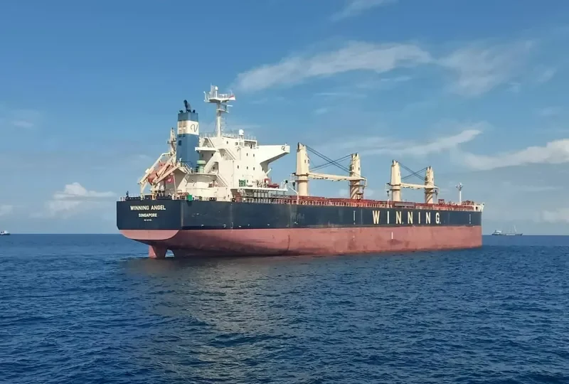 PMS STEINBOCK Bulk Carrier IMO 9617739 photo 5